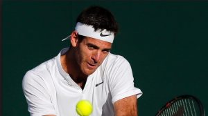 Juan Martin Del Potro